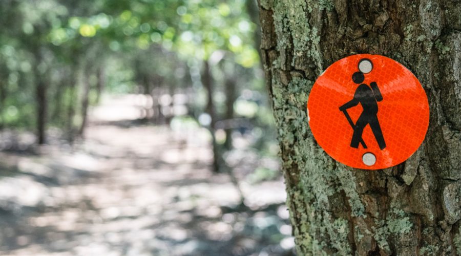 5 Budget-Friendly Hobbies That’ll Excite You 4 pic11 8