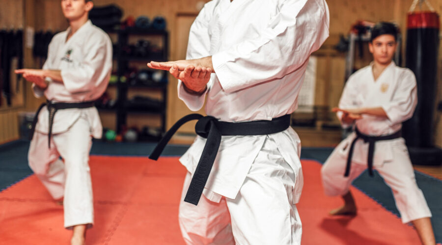 The Many Reasons To Consider Learning Jiu-Jitsu 1 martial arts fight training in action 2021 08 26 16 26 04 utc scaled